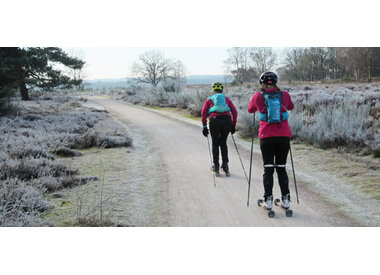 Evenementen, lessen & clinics