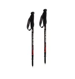 Fizan Wandelstokken Compact 4