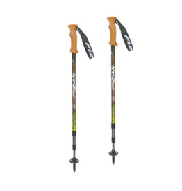 Fizan Wandelstokken Tierra