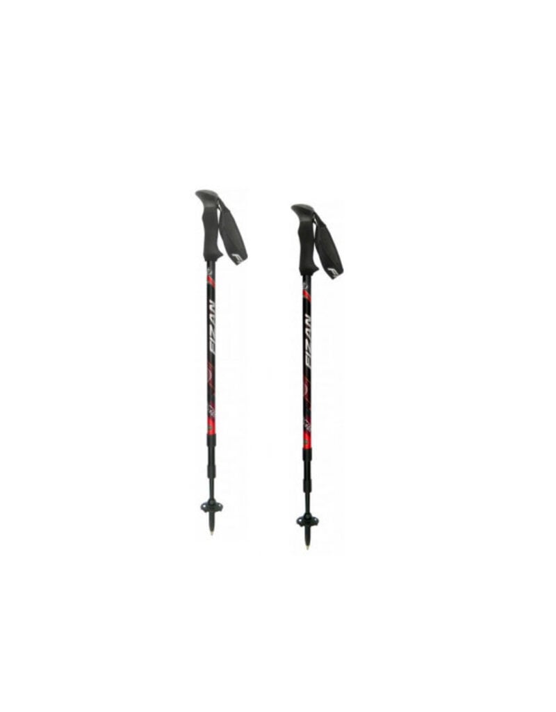 Fizan Hiking stokken Prestige
