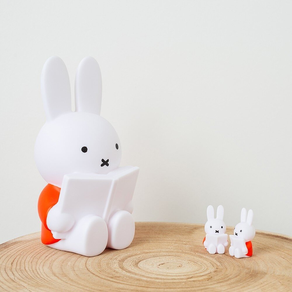 Atelier Pierre Junior Nijntje Leest Spaarpot | Rood