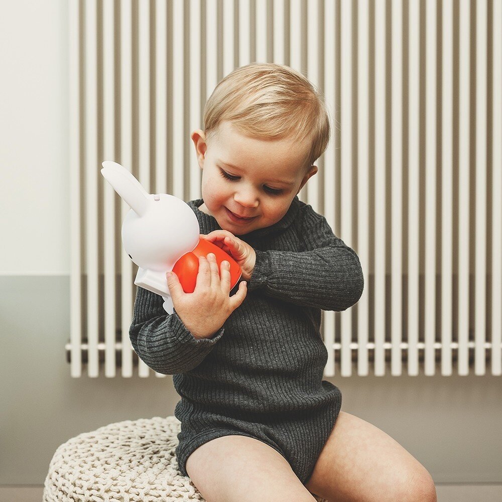 Atelier Pierre Junior Nijntje Leest Spaarpot | Rood