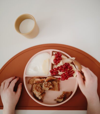 Mushie Siliconen Bord met Zuignap | Blush