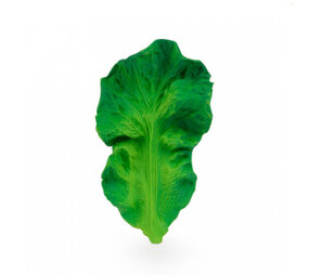 Oli & Carol Bijtspeeltje Kendall the Kale Oli & Carol Bijtspeeltje Kendall the Kale