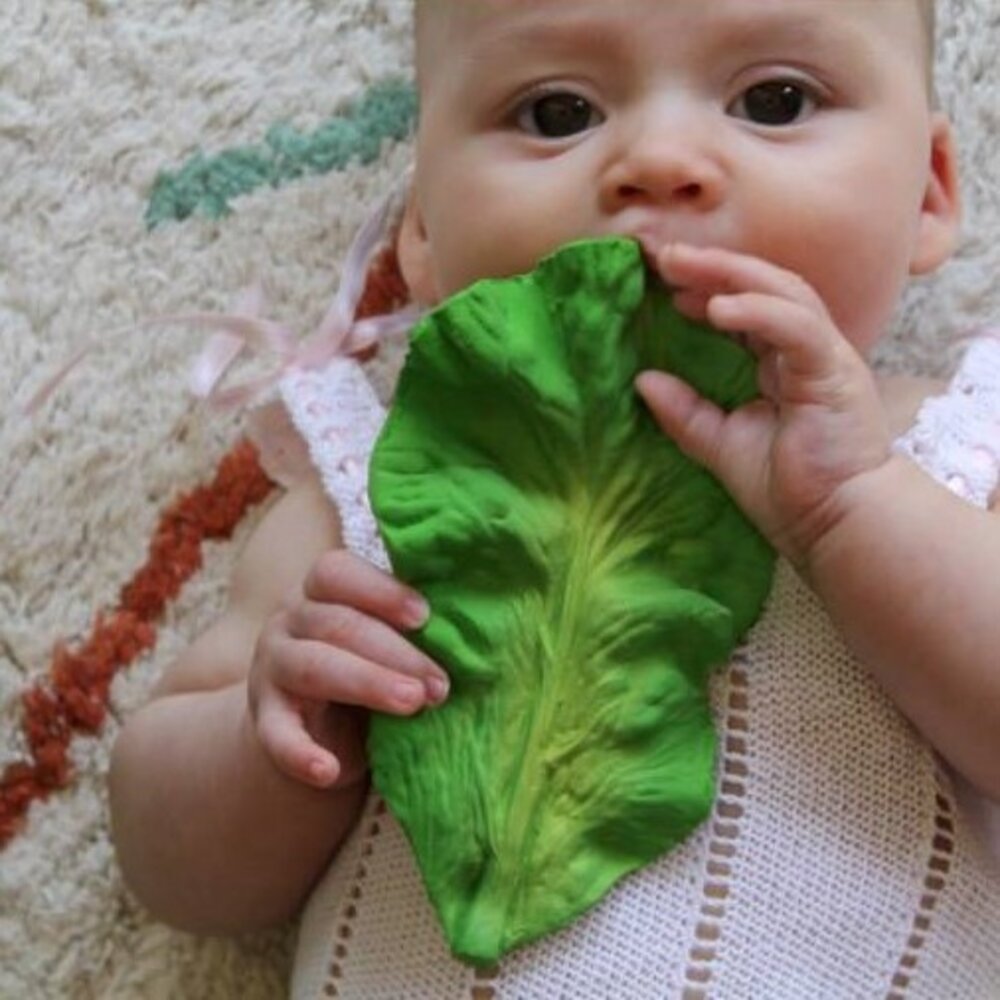 Oli & Carol Bijtspeeltje Kendall the Kale