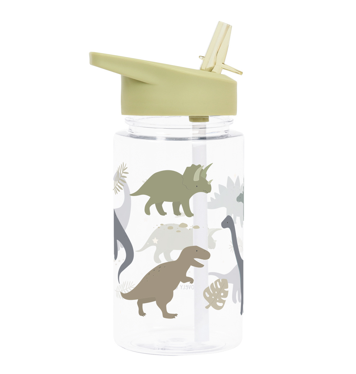 Drinkfles Dinosaurussen Drinkfles Dinosaurussen