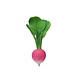 Oli & Carol Bijtspeeltje Ramona the Radish Oli & Carol Bijtspeeltje Ramona the Radish