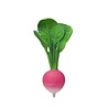 Oli & Carol Bijtspeeltje Ramona the Radish