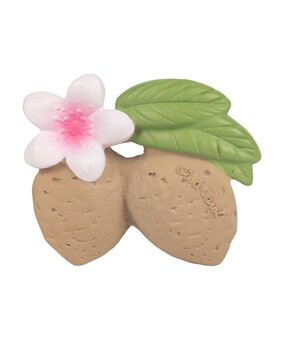 Oli & Carol Bijtspeeltje Aly the Almond