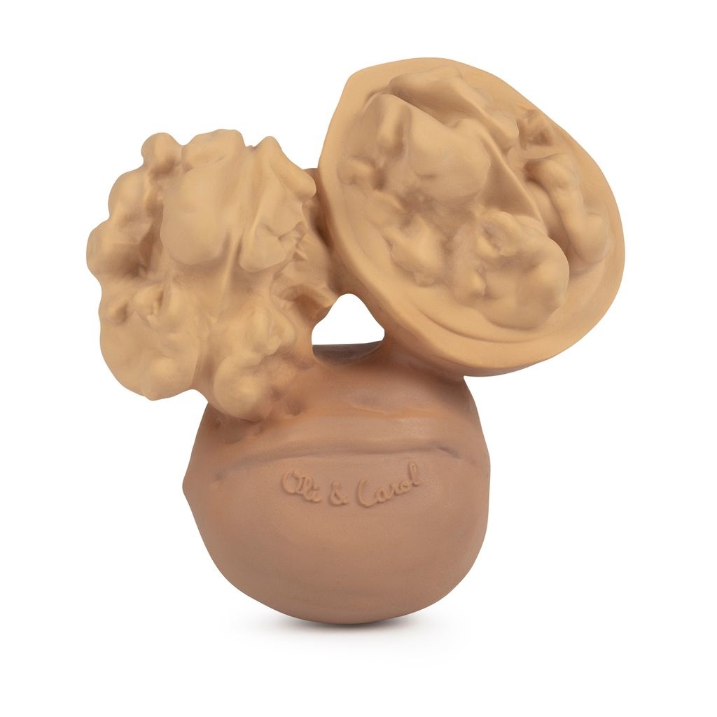 Wally the Walnut | Walnoot Wally the Walnut | Walnoot