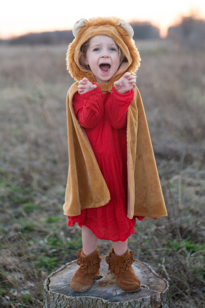 Great Pretenders Peuter Cape Leeuw 2-3 jaar Great Pretenders Peuter Cape Leeuw 2-3 jaar