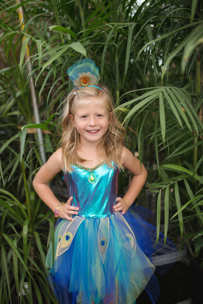 Great Pretenders Jurk Pauw met haarband 5-6 jaar