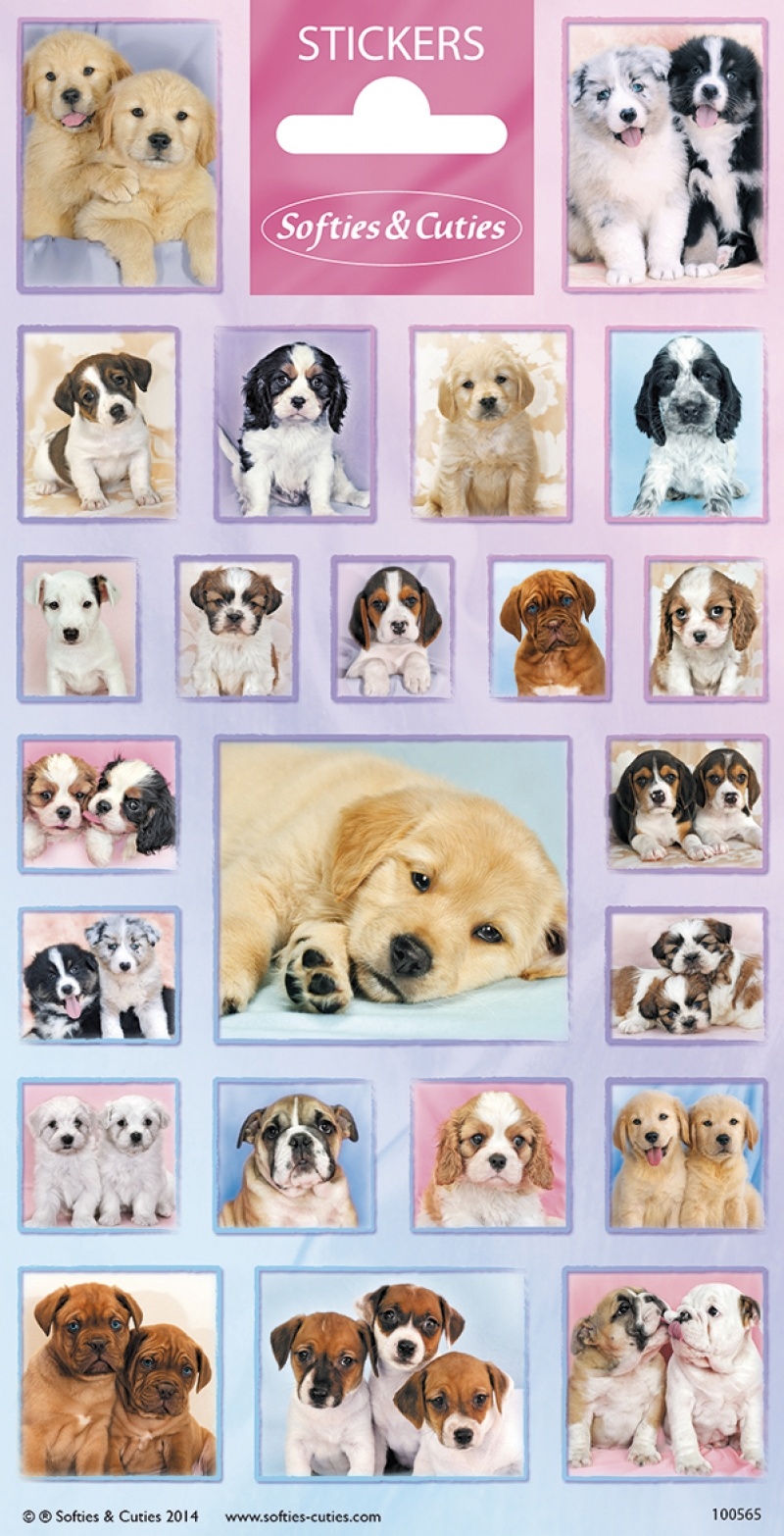 Stickervel Puppies afbeelding