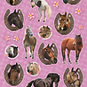 Stickervel Paarden (Roze) Stickervel Paarden (Roze)
