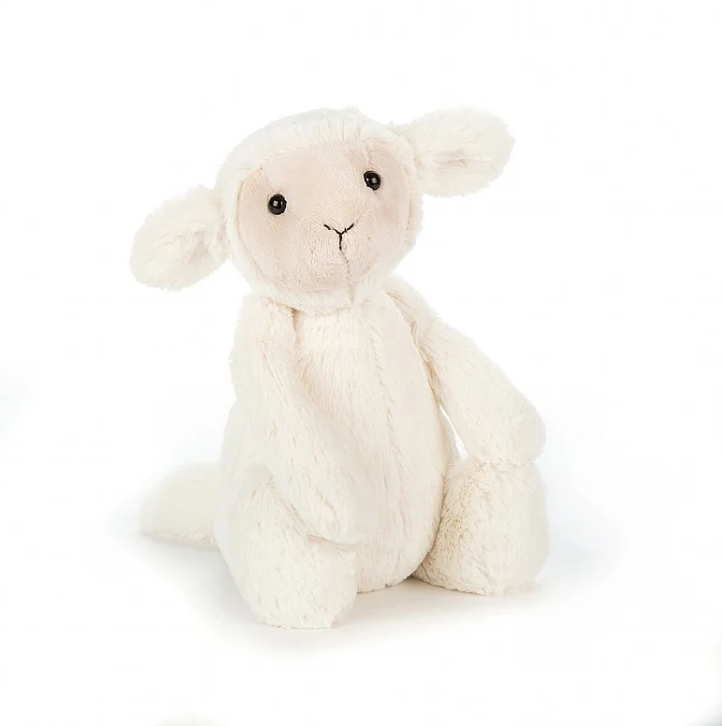 Bashful Lamb Medium Bashful Lamb Medium