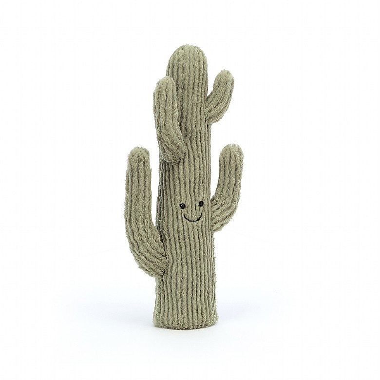 Amuseable Desert Cactus Small Amuseable Desert Cactus Small