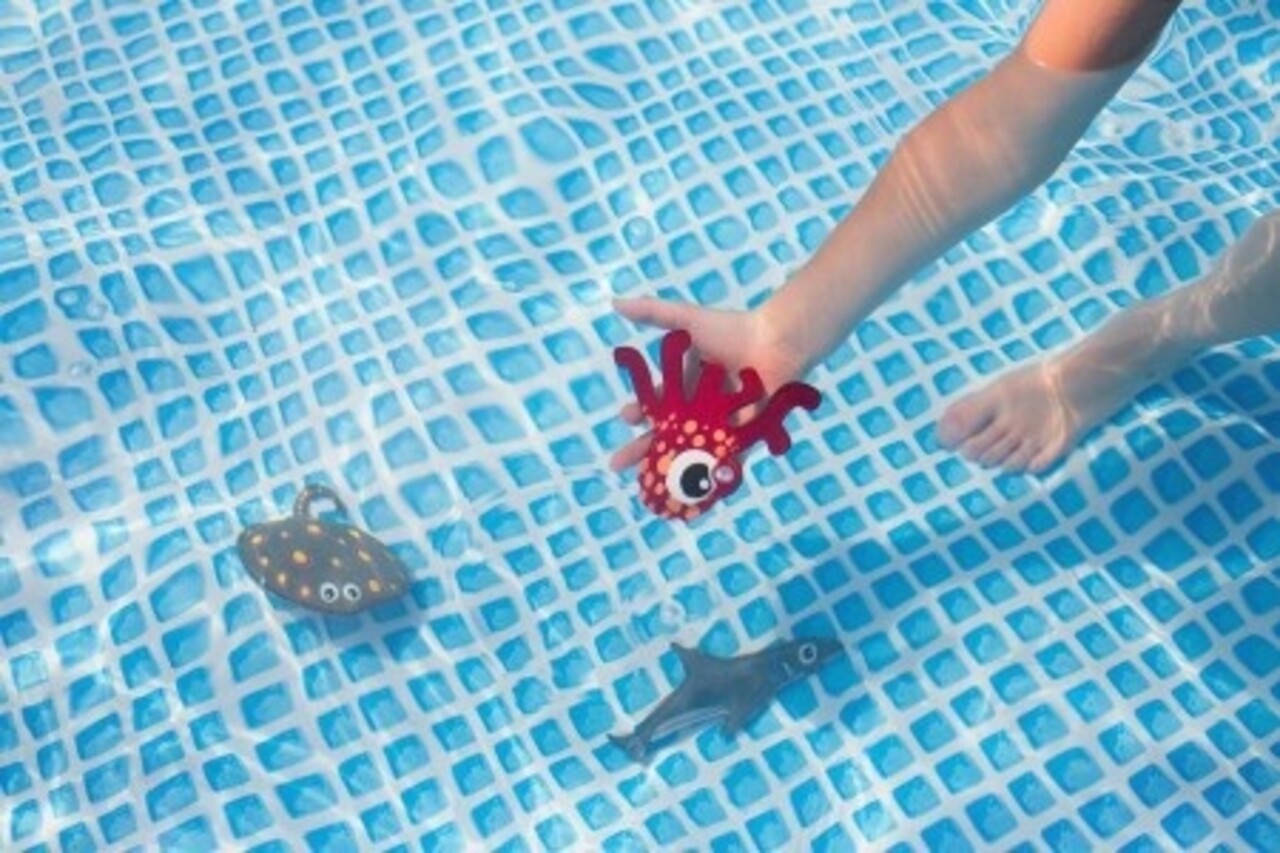 Opduikdieren Opduikdieren