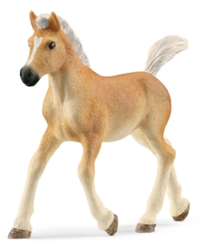 Schleich Horse Club | Haflinger Veulen (13951)