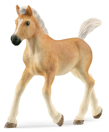 Horse Club | Haflinger Veulen (13951) afbeelding
