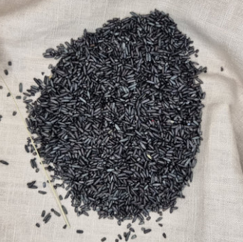 Speelrijst Zwart - 250 gram Speelrijst Zwart - 250 gram