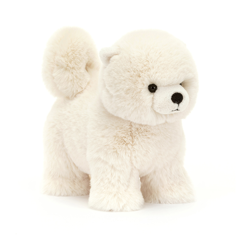 Hond Daphne Pomeranian Hond Daphne Pomeranian