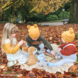 Bigjigs Toys Houten Box met Koekjes Bigjigs Toys Houten Box met Koekjes
