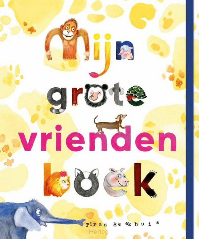 Mijn grote vriendenboek afbeelding