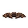 Jellycat Spindleshanks Spider Small Jellycat Spindleshanks Spider Small