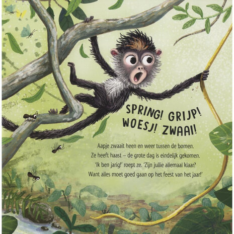 Kalm aan, Aapje Kalm aan, Aapje