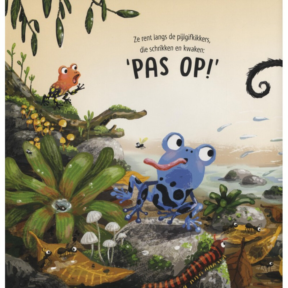 Kalm aan, Aapje Kalm aan, Aapje