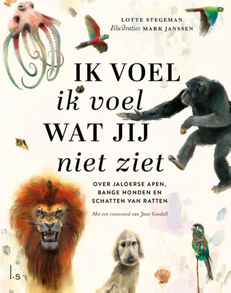 Ik voel ik voel wat jij niet ziet Ik voel ik voel wat jij niet ziet