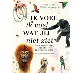Ik voel ik voel wat jij niet ziet Ik voel ik voel wat jij niet ziet
