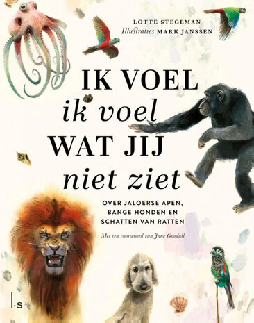 Ik voel ik voel wat jij niet ziet Ik voel ik voel wat jij niet ziet