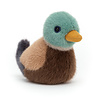 Jellycat Birdling Mallard Eend Jellycat Birdling Mallard Eend