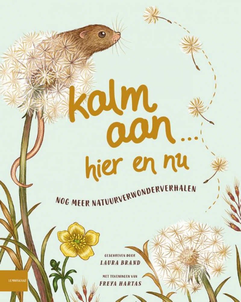 Kalm aan... Hier en nu afbeelding