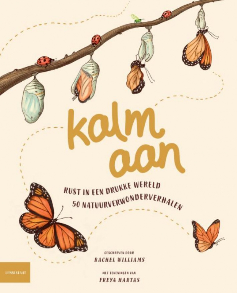 Kalm aan afbeelding