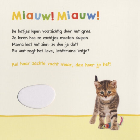 Welk dier hoor ik hier? Lievelings dieren Welk dier hoor ik hier? Lievelings dieren