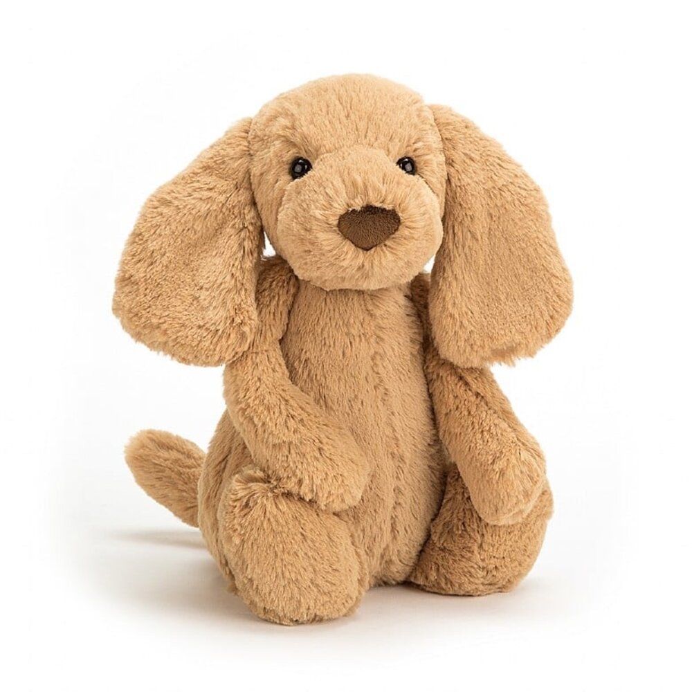 Jellycat Knuffel Bashful Toffee Puppy Little Jellycat Knuffel Bashful Toffee Puppy Little