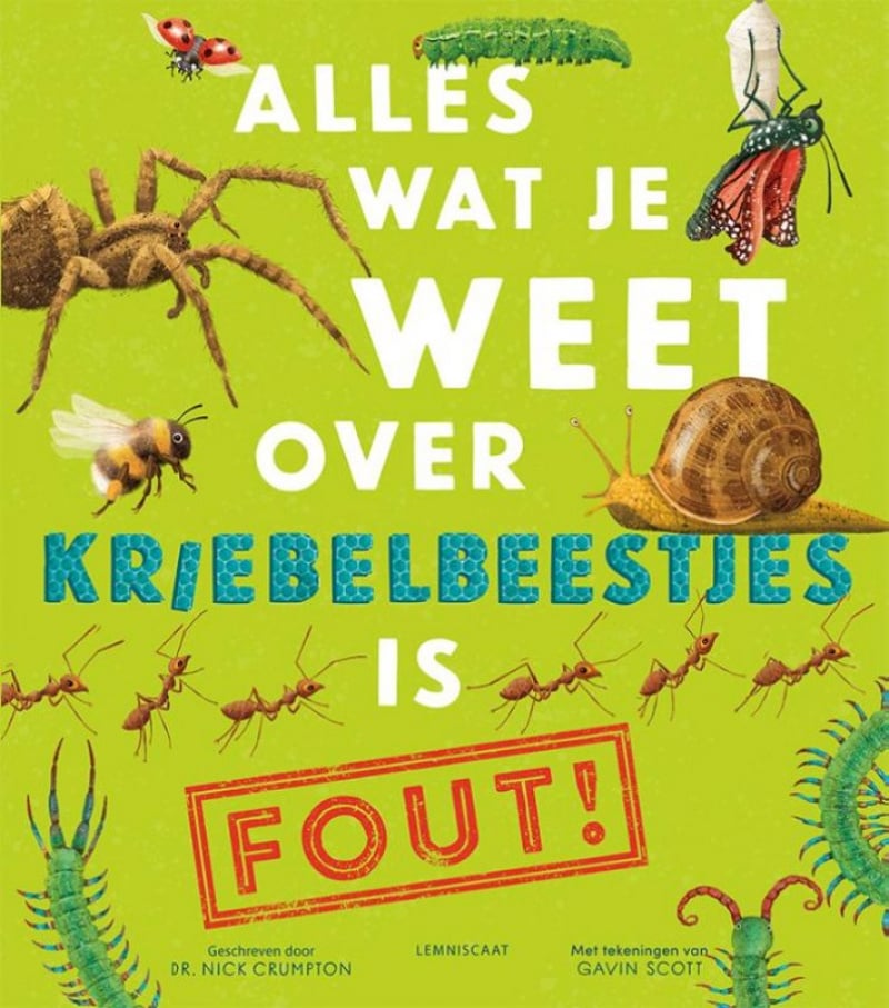 Alles wat je weet over kriebelbeestjes is FOUT! afbeelding