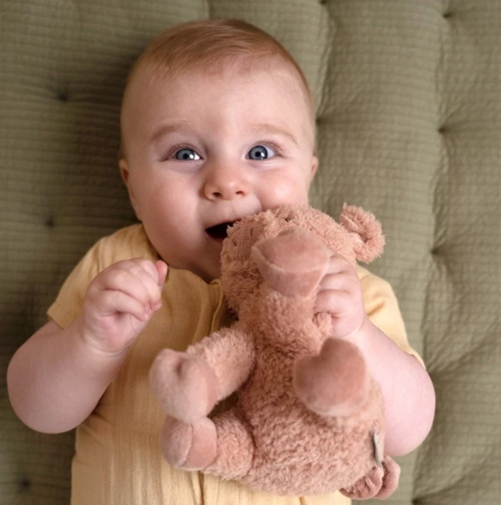 Little Dutch Knuffel Varken Little Farm | 17 cm Little Dutch Knuffel Varken Little Farm | 17 cm