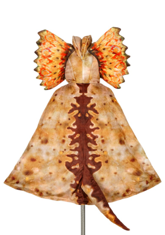 Souza! Dilophosaurus Cape 4-7 jaar Souza! Dilophosaurus Cape 4-7 jaar