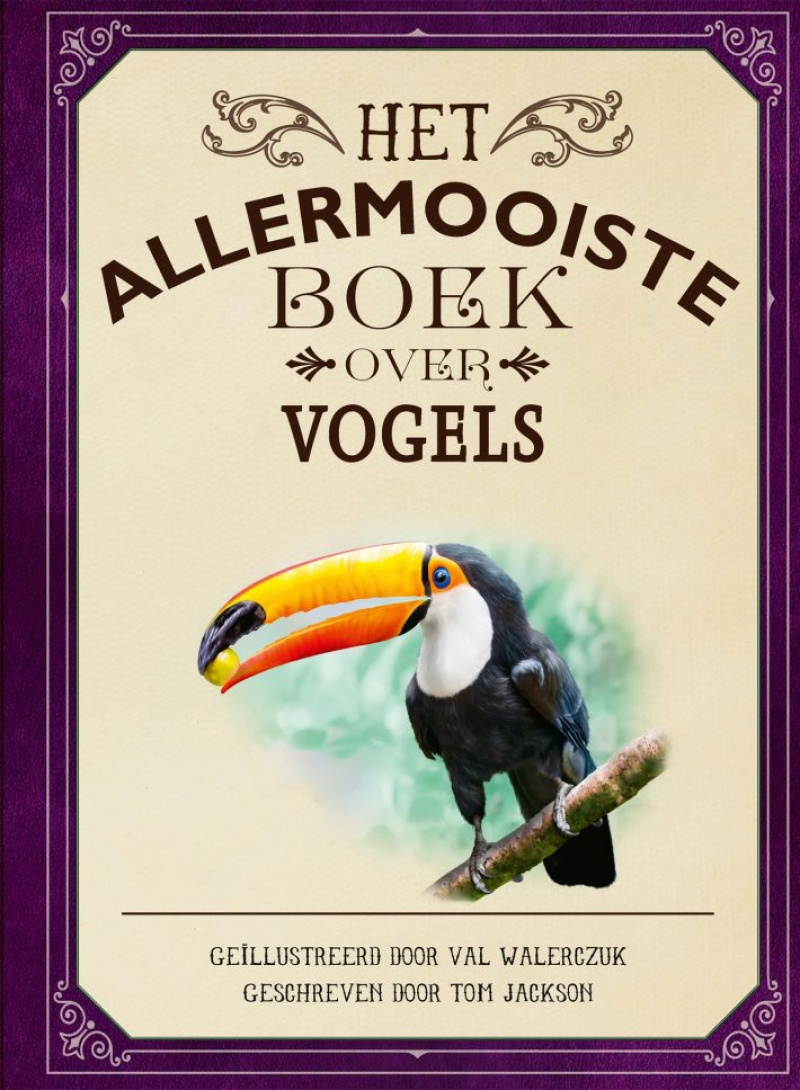 Het allermooiste boek over vogels afbeelding