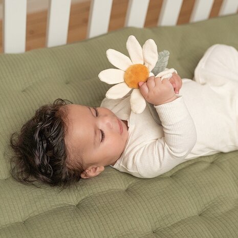 Little Dutch  Rammelaar bloem Little Farm Little Dutch  Rammelaar bloem Little Farm