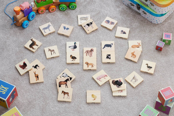 TickiT Houten Memory Huisdieren TickiT Houten Memory Huisdieren