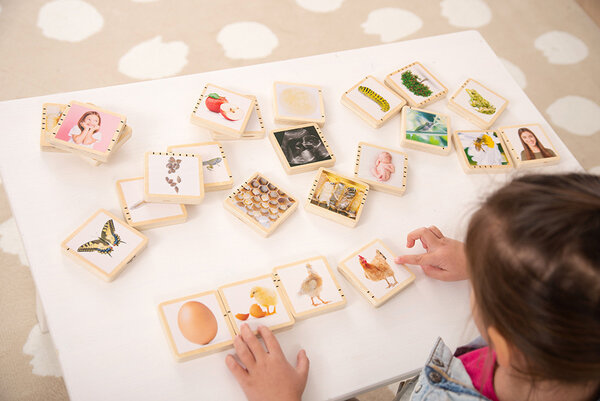 TickiT Houten Levenscyclus TickiT Houten Levenscyclus