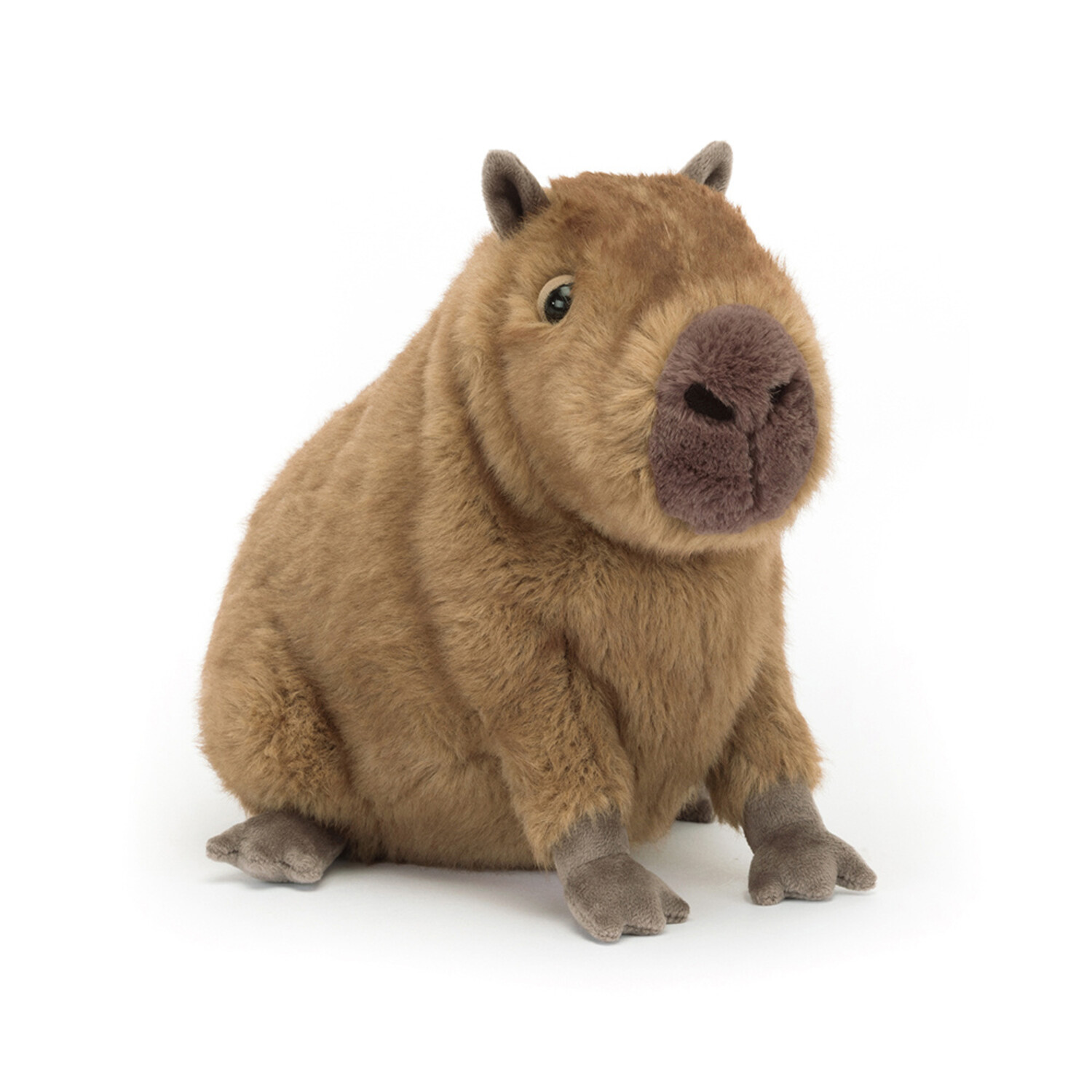 ジェリーキャット カピバラ Clyde Capybara Hipster ジェリーキャット カピバラ Clyde Capybara Hipster ジェリーキャット