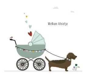 Mevrouw Emmer Wenskaart Welkom kleintje Mevrouw Emmer Wenskaart Welkom kleintje