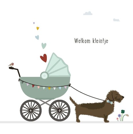 Mevrouw Emmer Wenskaart Welkom kleintje Mevrouw Emmer Wenskaart Welkom kleintje
