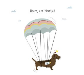 Mevrouw Emmer Wenskaart Welkom kleintje 2 Mevrouw Emmer Wenskaart Welkom kleintje 2