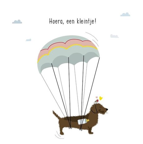 Mevrouw Emmer Wenskaart Welkom kleintje 2 Mevrouw Emmer Wenskaart Welkom kleintje 2